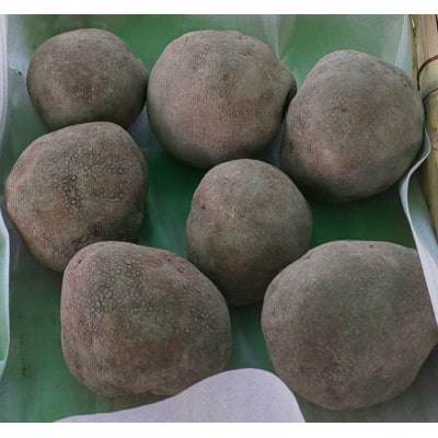 丹波篠山産　山の芋【優品　3kg】
