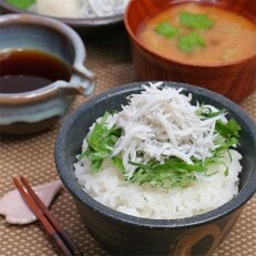 紀州湯浅湾直送!茹でたて 釜揚げしらす　1kg (250g×4パック入) 【冷蔵】 | ふるさと納税のお礼品