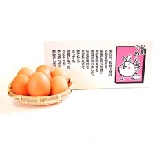 【美浜町】卵がけご飯コンテスト優勝!紀州うめたまご45玉+破損保証5玉