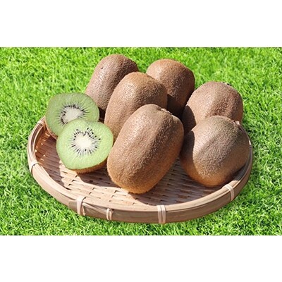【まごころ手選別】和歌山産 キウイフルーツ 2.5kg M~2Lサイズ 1箱