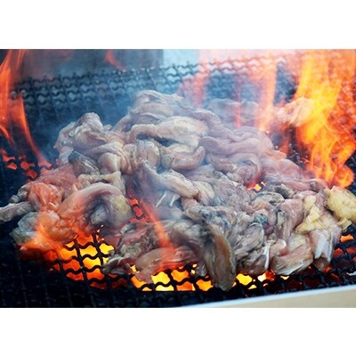 宮崎名物!地鶏屋さんの炭火焼き4種セット【ギフトにも】