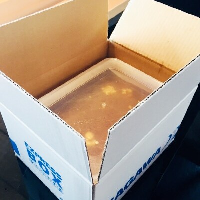 鮨小野特製 国産すっぽん鍋(約2~3人前)