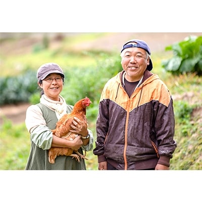 有機農家より 旬の里山のおくりもの(お米1kg・野菜・卵・くろうどんセット)