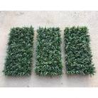 タマリュウマット3点セット(1枚60×30cm)