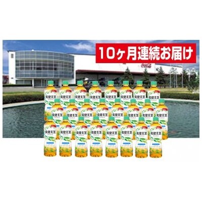 【10ヶ月連続お届け】蔵王工場直送 爽健美茶600ml×24本[No.5800-0047]