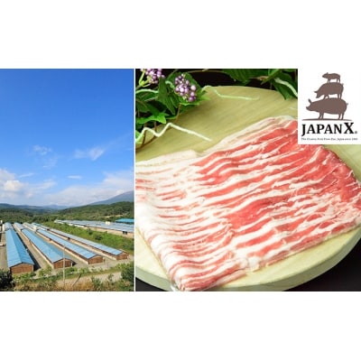 豚バラ 牧場直送 JAPANX 2mm スライス 2kg 国産 宮城県[No.5800-0063] | ふるさと納税のお礼品