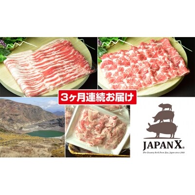 【3ヶ月定期便】JAPAN X3種2mmスライス2.8kg[No.5800-0126]