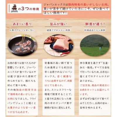 【訳あり】JAPAN X 豚小間&家庭用仙台牛タン(塩味) 計2.1kg 【04301-0557】