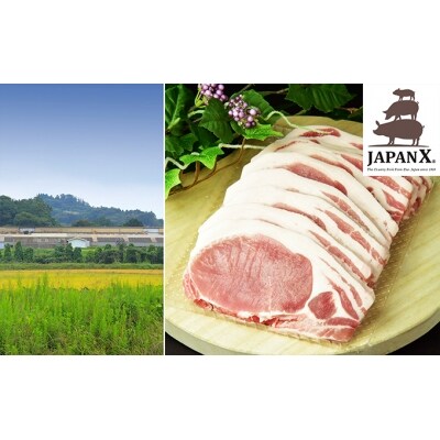 牧場直送JAPAN X 豚ロースステーキ15枚/計1.5kg[No.5800-0068]