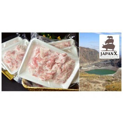 牧場直送JAPAN X 豚小間切り落とし/計3kg[No.5800-0087]