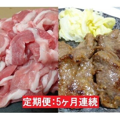 【5ヶ月連続】JAPAN X豚小間1.5kg&牛タン塩味600g※訳あり[No.5800-0223]