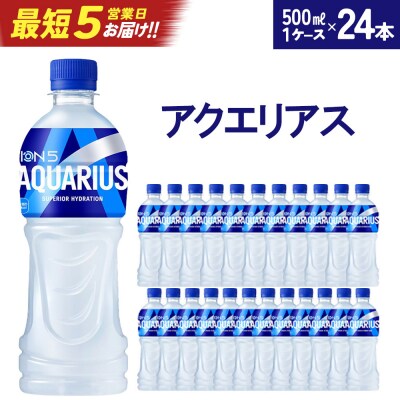 【最短5営業日着!】アクエリアス 500mlPET×24本　【04301-0039】