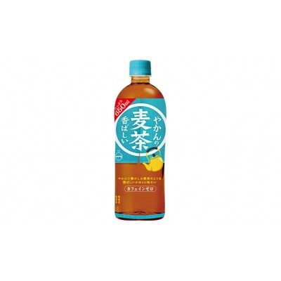 PET650ml×24本 やかんの麦茶[No.5800-0281]