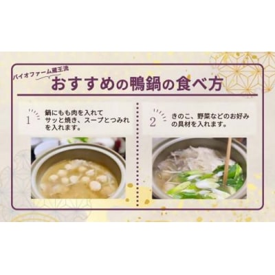 蔵王本鴨 鍋セット2～3人前　【04301-0123】