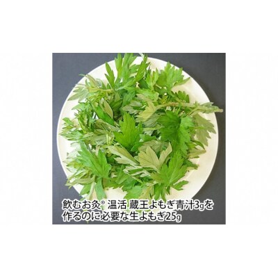 飲むお灸(登録商標) 温活 蔵王よもぎ青汁(ジンジャー配合)3g×30包[No.5800-0315]