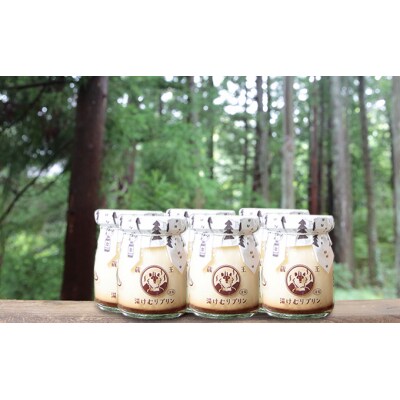 蔵王初のプリン専門店が贈る【蔵王昔懐かしプリン6個セット】　【04301-0341】