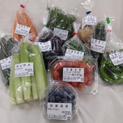 【令和7年産米】蔵王源流米5kg&季節の恵みセット(3～5品程度)　【04301-0137】