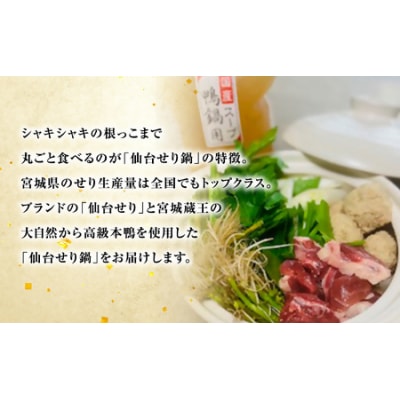 蔵王鴨 仙台せり鍋セット2～3人前　【04301-0121】