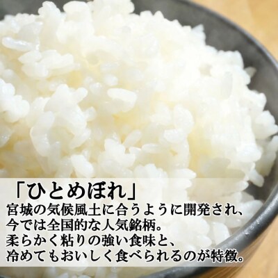 <令和7年産米>蔵王産　我妻の米(ひとめぼれ)　精米5kg×2袋　【04301-0237】