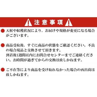 <令和7年産米>蔵王産　我妻の米(つや姫)　玄米5kg　【04301-0383】