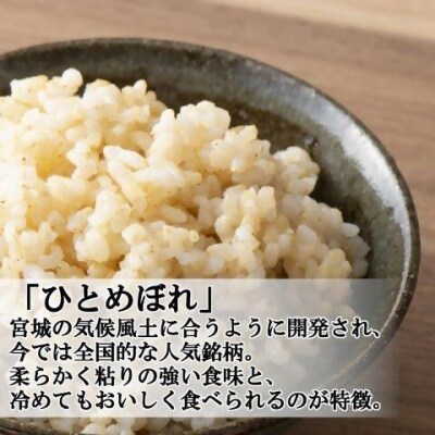 <令和7年産米>蔵王産　我妻の米(ひとめぼれ)　玄米5kg　【04301-0385】