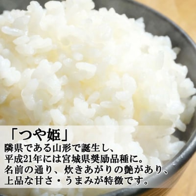 <令和7年産米>蔵王産　つや姫　精米5kg　【04301-0386】