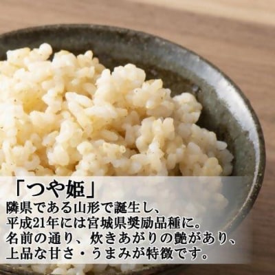 <令和7年産米>蔵王産　つや姫　玄米5kg　【04301-0387】