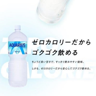 【6か月連続お届け】アクエリアスゼロ　2L PET×6本　【04301-0657】