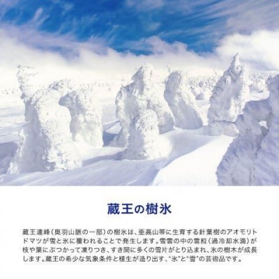 9か月定期 水想い 蔵王連峰の雪どけ天然水 ラベルレス　500ml×42本 【04301-0738】