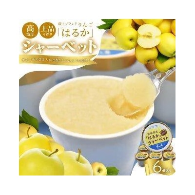 りんご「はるか」シャーベット　【04301-0202】