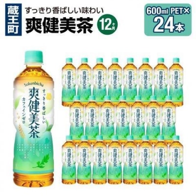 【12か月連続お届け】爽健美茶　600ml PET×24本　【04301-0698】