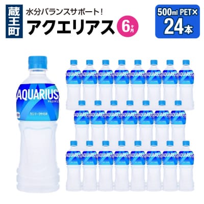 【6か月連続お届け】アクエリアス　500ml PET×24本　【04301-0706】