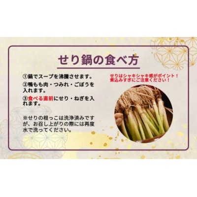 蔵王鴨 仙台せり鍋セット4～5人前　【04301-0122】
