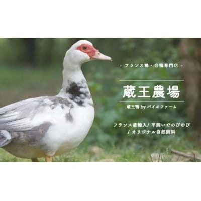 蔵王鴨 仙台せり鍋セット4～5人前　【04301-0122】