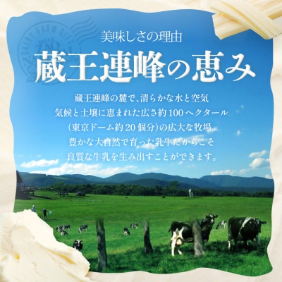 蔵王クリームチーズ満喫セット(8種)【04301-0825】