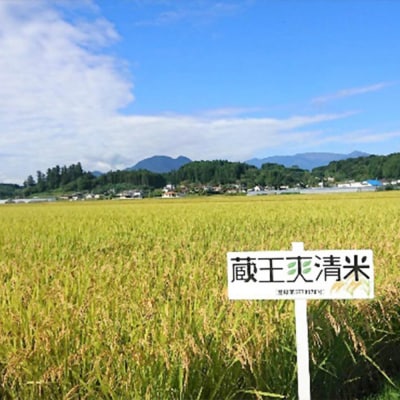 【令和7年産米】蔵王爽清米 つや姫 精米5kg　【04301-0946】