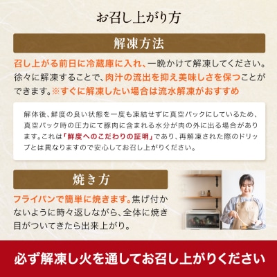 JAPAN X 味付ロース5点セット 生姜焼き5パック【04301-0883-1】