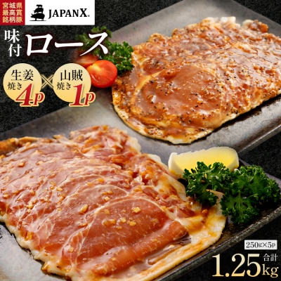 JAPAN X 味付ロース5点セット 生姜焼き4パック・山賊焼き1パック【04301-0883-2】