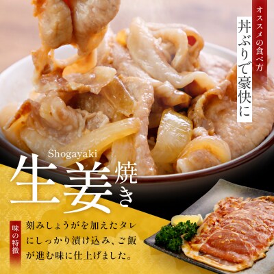 JAPAN X 味付ロース5点セット 生姜焼き3パック・山賊焼き2パック【04301-0883-3】