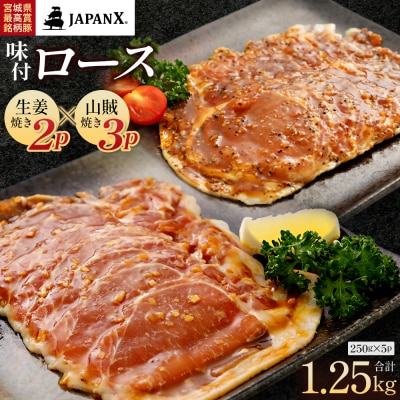 JAPAN X 味付ロース5点セット 生姜焼き2パック・山賊焼き3パック【04301-0883-4】