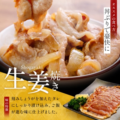 JAPAN X 味付ロース5点セット 生姜焼き2パック・山賊焼き3パック【04301-0883-4】