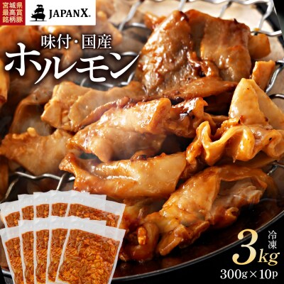 JAPAN X 味付ホルモン 300g×10 計3kg【04301-0882】