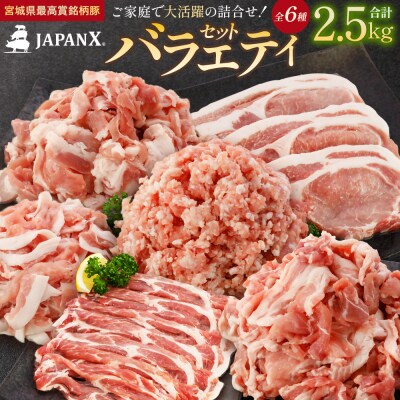 JAPAN X バラエティセット 第2弾 6種 2.5kg【04301-0888】