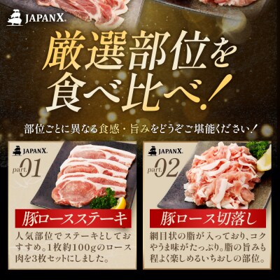 JAPAN X バラエティセット 第2弾 6種 2.5kg【04301-0888】