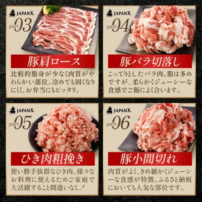 JAPAN X バラエティセット 第2弾 6種 2.5kg【04301-0888】