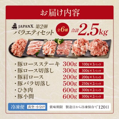 JAPAN X バラエティセット 第2弾 6種 2.5kg【04301-0888】