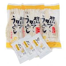 村山かてうどん