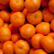 【1月中発送】【JAかながわ西湘】濃厚な甘さが自慢の「温州みかん(大津)」5kg