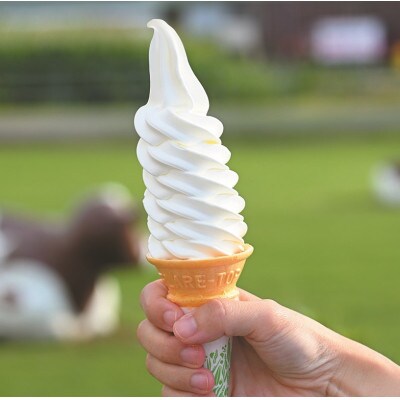 北海道 牧場のチーズ&生ソフトクリーム 14個 嶋木牧場 池田町