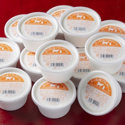 北海道 牧場のチーズ&生ソフトクリーム 14個 嶋木牧場 池田町